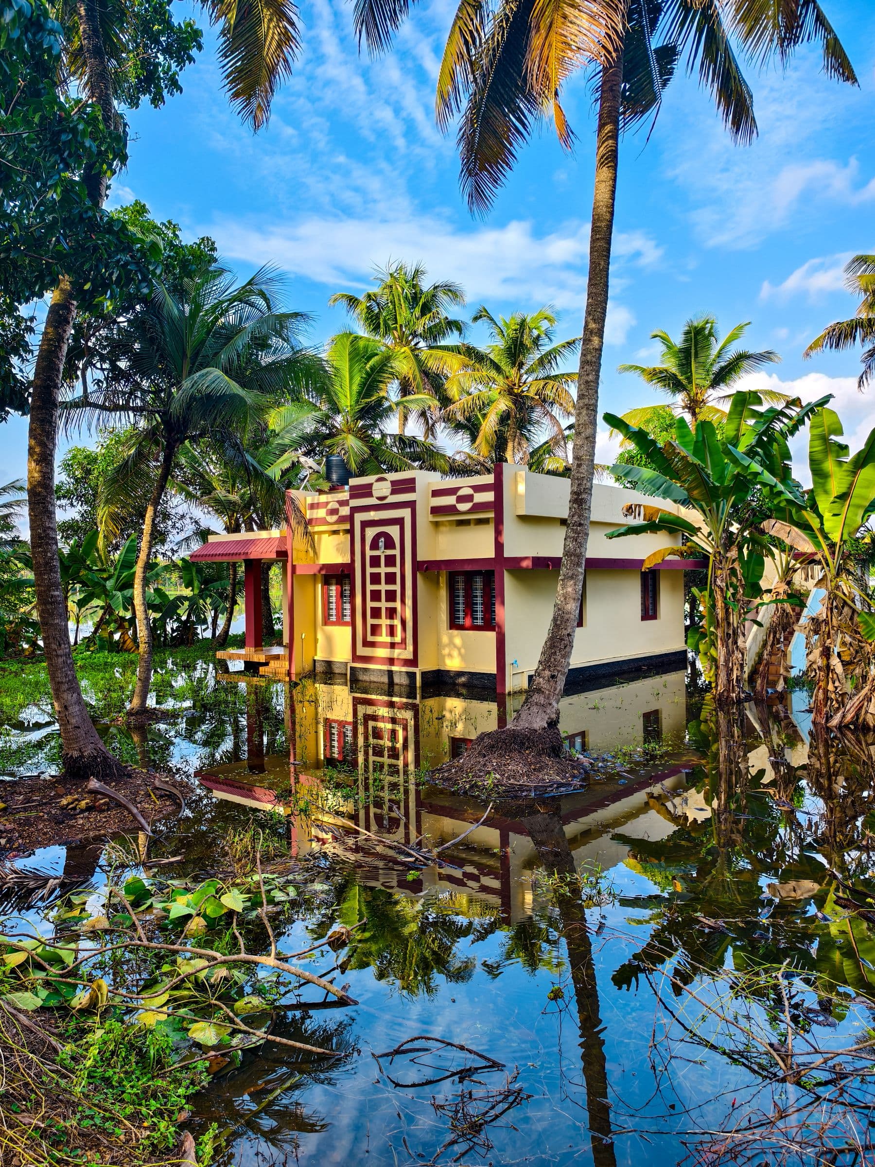 A small yellow house with red trim standing in floodwater among coconut palms and banana plants.